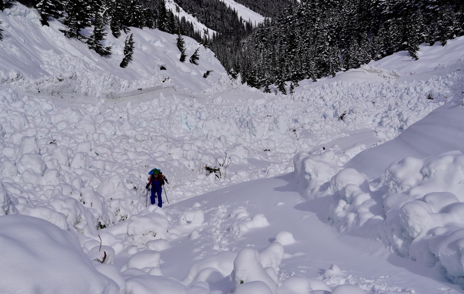 asulkan_rogers_pass - 7.jpg